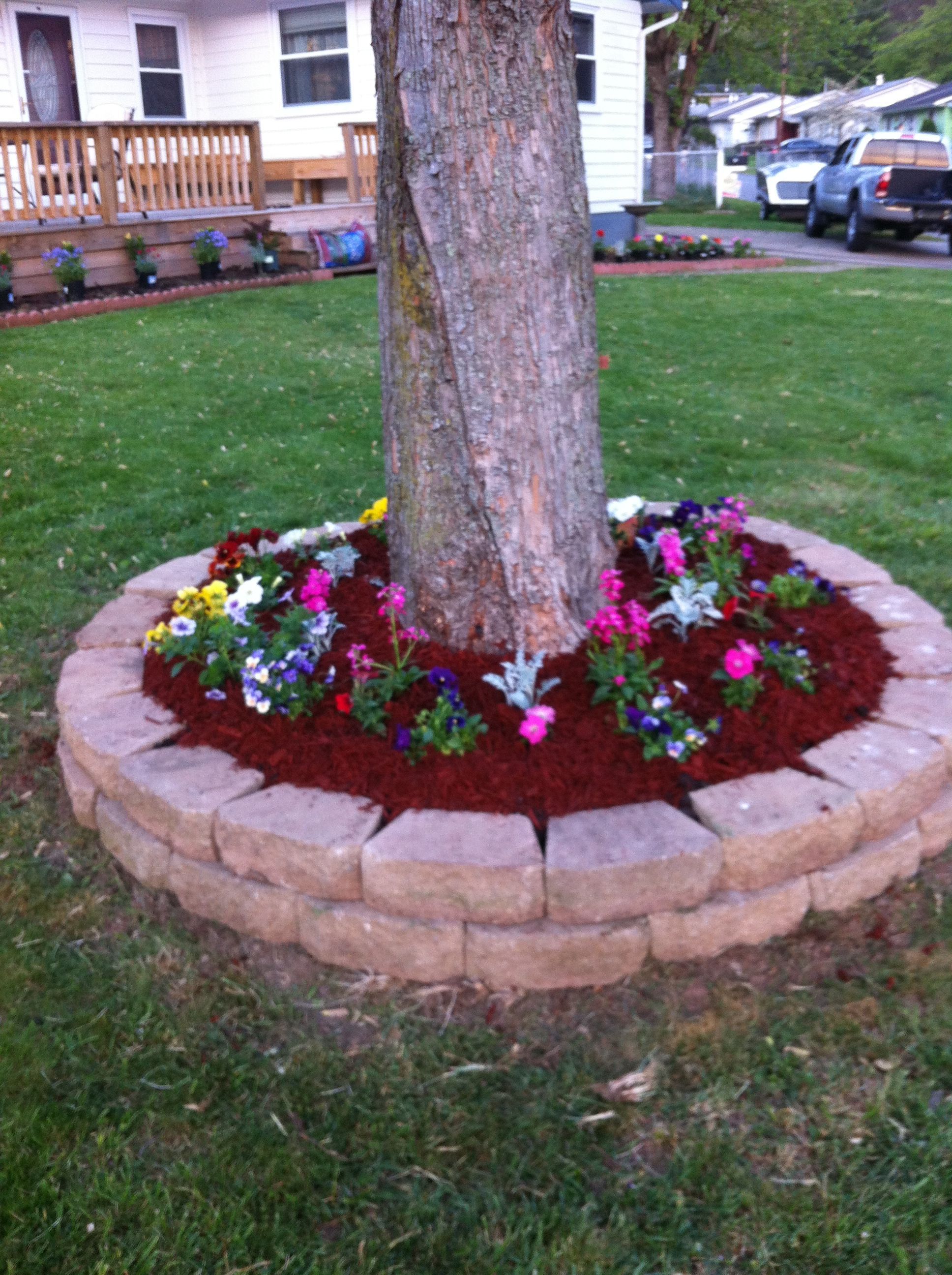 flower bed…like the pagers around the tree.