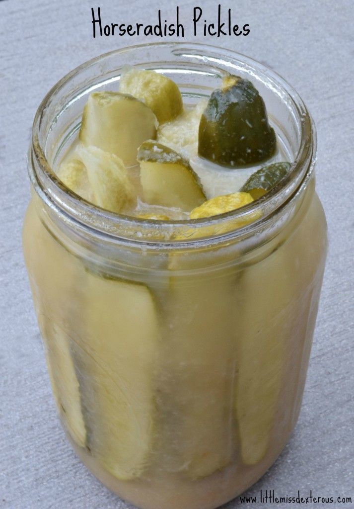 Horseradish Pickles are the most amazing pickles out there! Spicy, sweet, and lively!