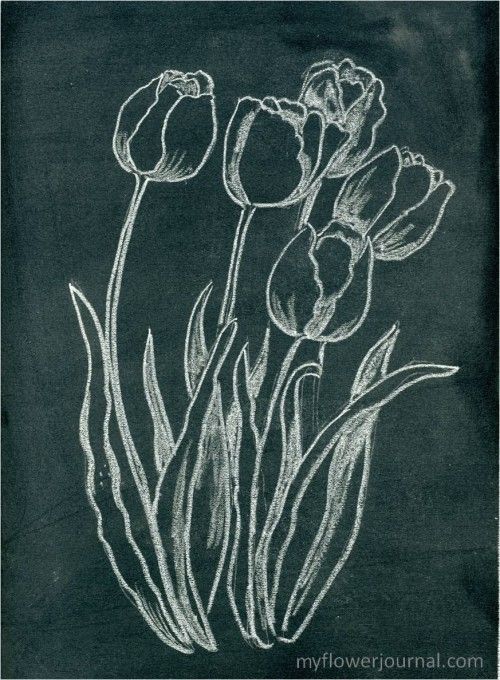 How to do Anthropologie inspired flower chalkboard art: myflowerjournal
