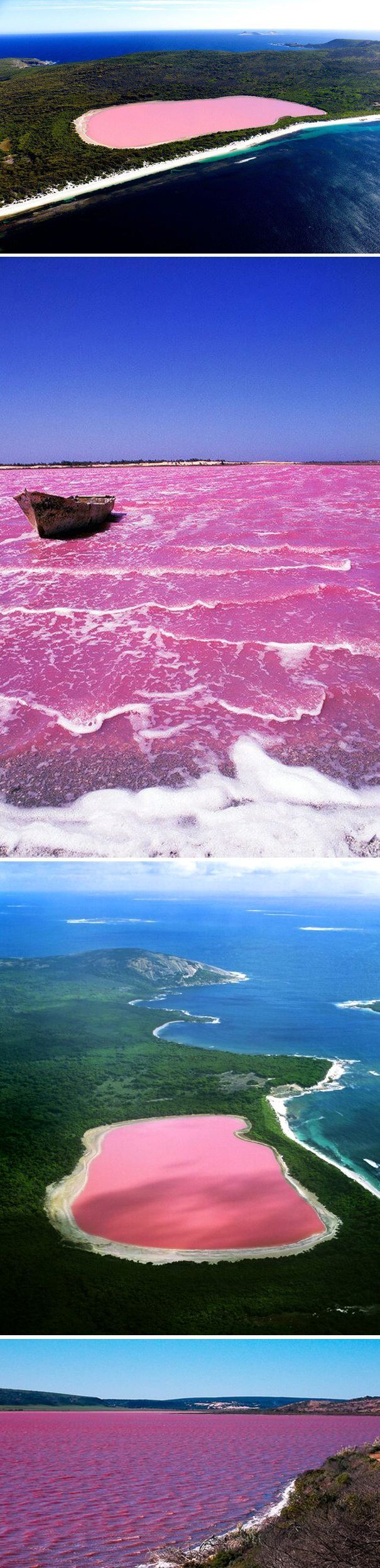 Lake Hillier, Middle Island, Western Australia. The only naturally pink lake in the world.