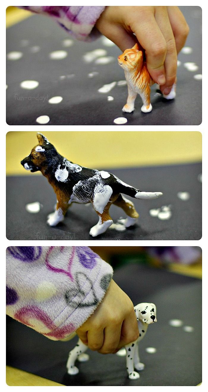 Snowy Footprints – A process art activity for a preschool pet theme.  This would do well with older kids as well!  Lots of