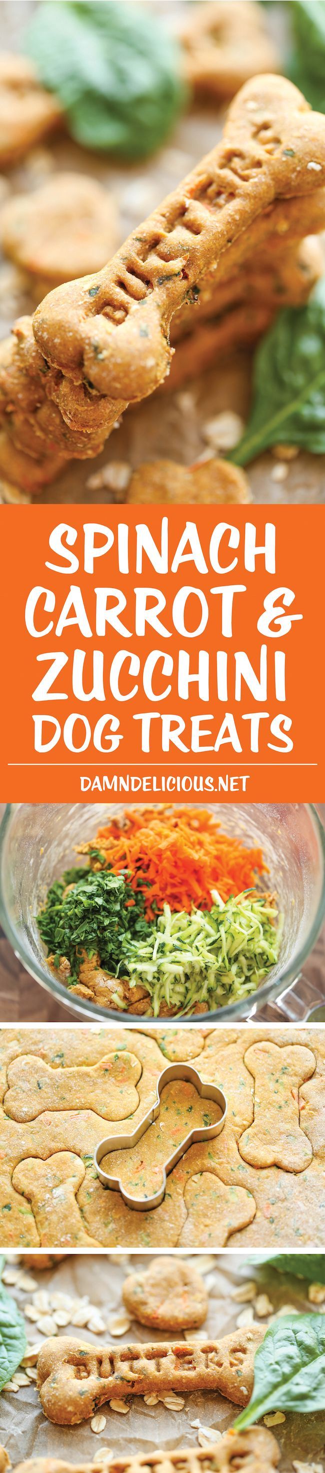 Spinach, Carrot and Zucchini Dog Treats – DIY dog treats that are nutritious, healthy and so easy to make. Plus, your pup will