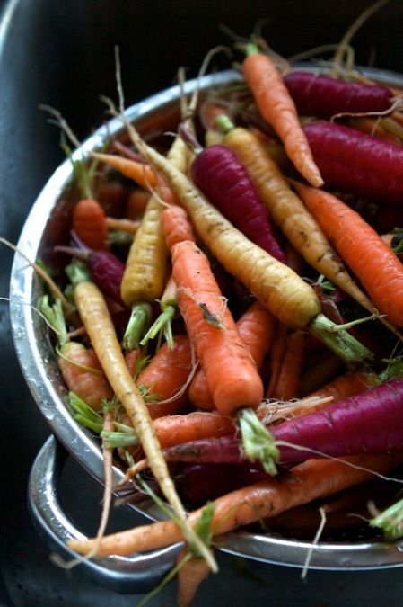 tips for growing carrots….I wish I had found this BEFORE I planted this year…