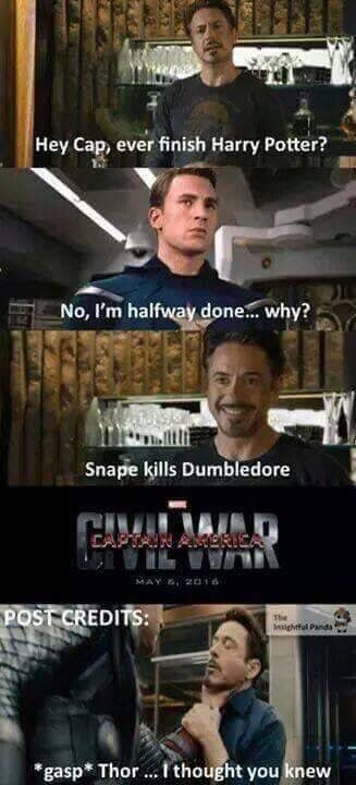 Avengers / Harry Potter