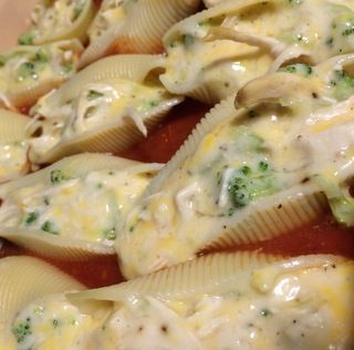 Chicken and Broccoli Stuffed Shells – Great alfredo sauce here too :)