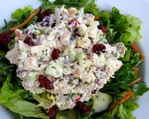 Chicken Salad with Apples and Cranberries | Weight Watchers Recipes
