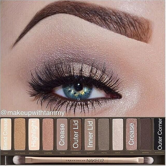 Color placement using the urban decay cosmetics naked 2 palette