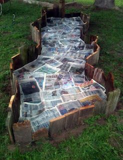 Fun Garden bed with newspapers to control the weeds.
