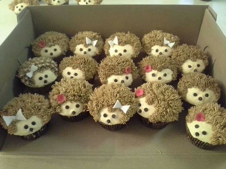 Best Hedgehogs cupcakes