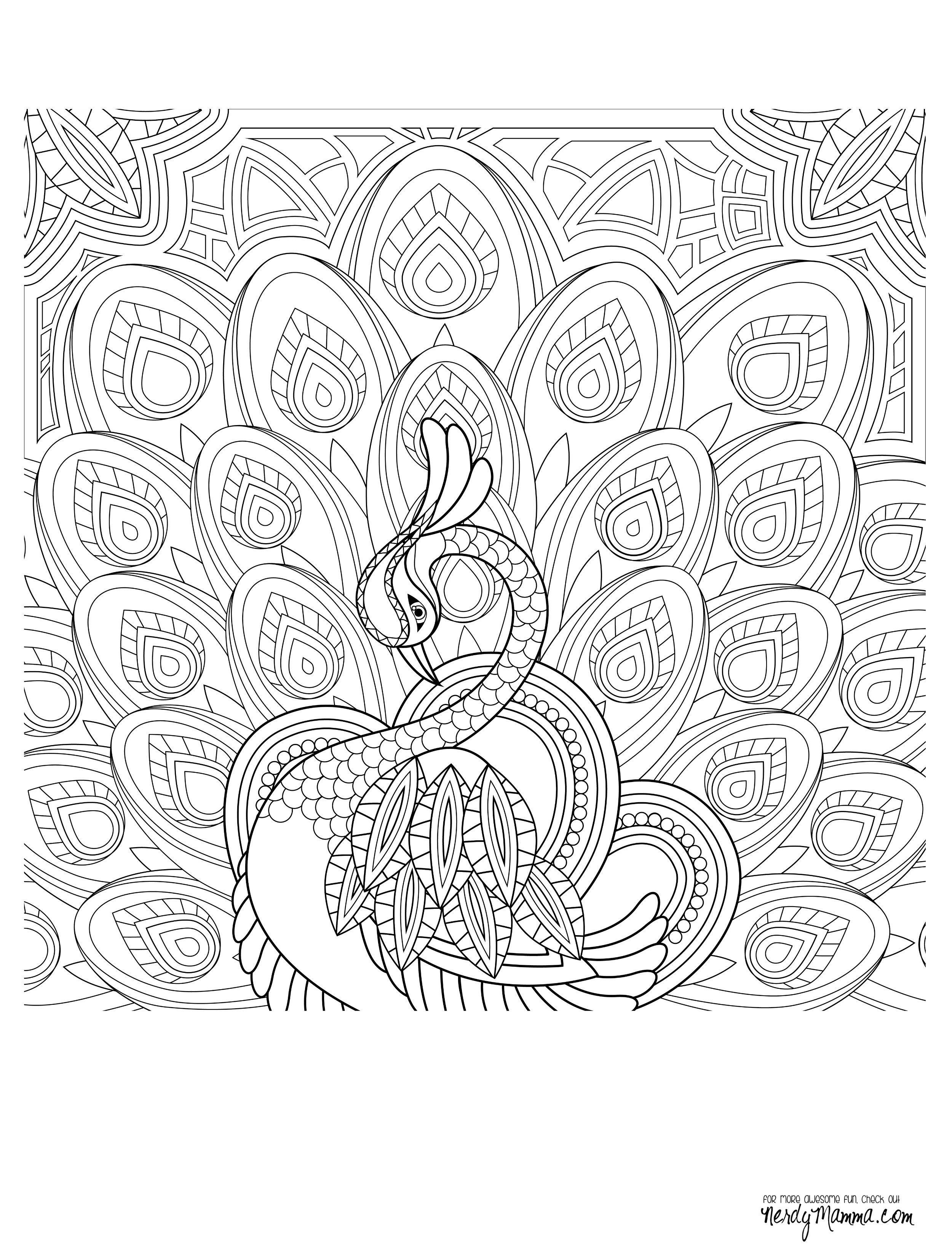 Peacock Feather Coloring pages colouring adult detailed advanced printable Kleuren voor volwassenen coloriage pour adulte