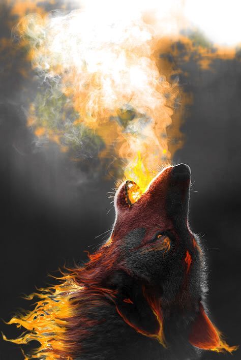 Sion howled, his breath harnessing a scorching fire as his fur began to glow with the power of the elemental wolf. The prophecy