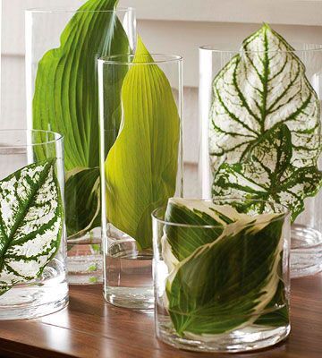 So simple So elegant! Foliage in glass vases #Centerpiece