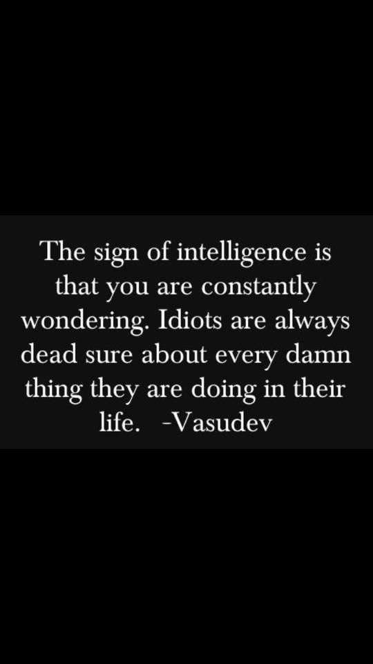 the sign of intelligence is that you are constantly wondering. idiots are always dead sure about every damn thing they are doing