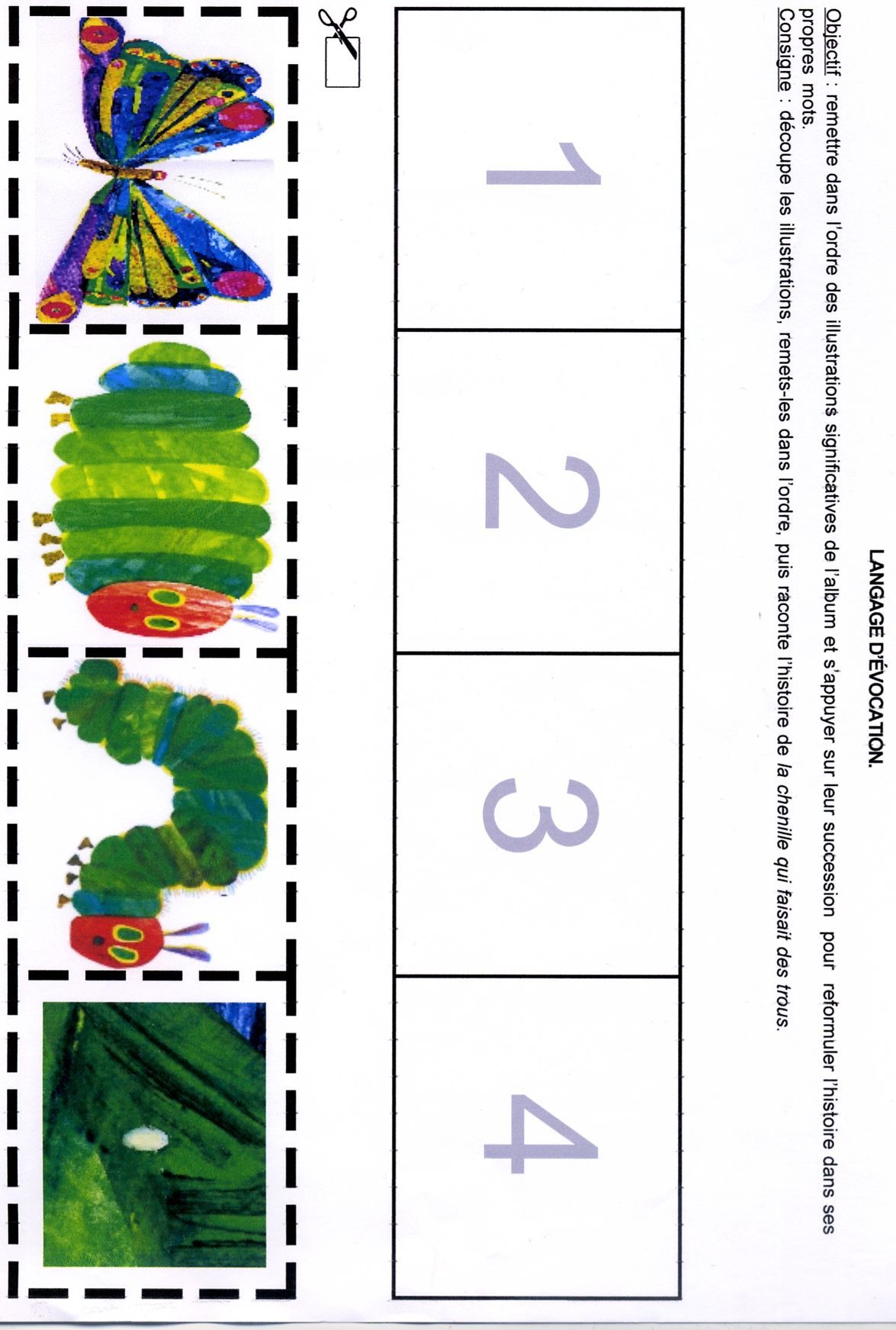 The very hungry caterpillar stages of life hands-on activity