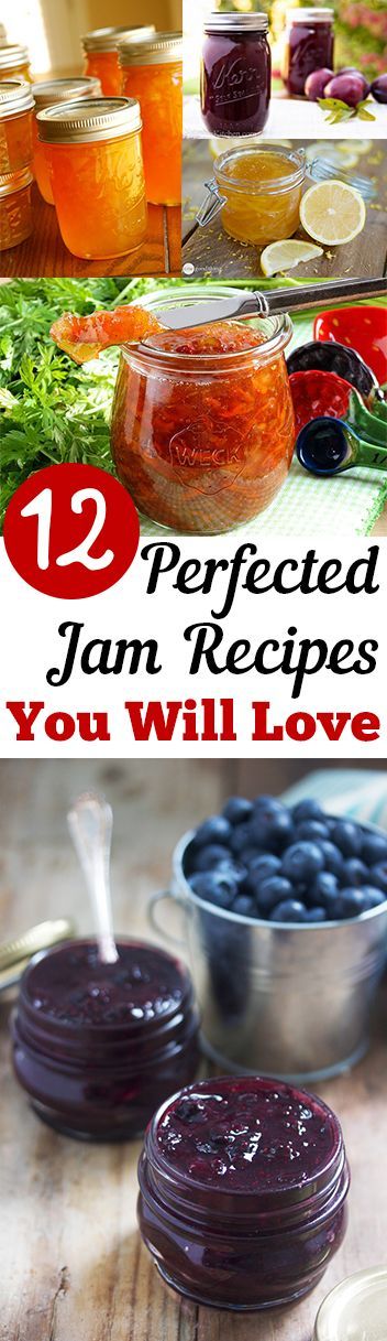 12 Perfected Jam Recipes You Will Love