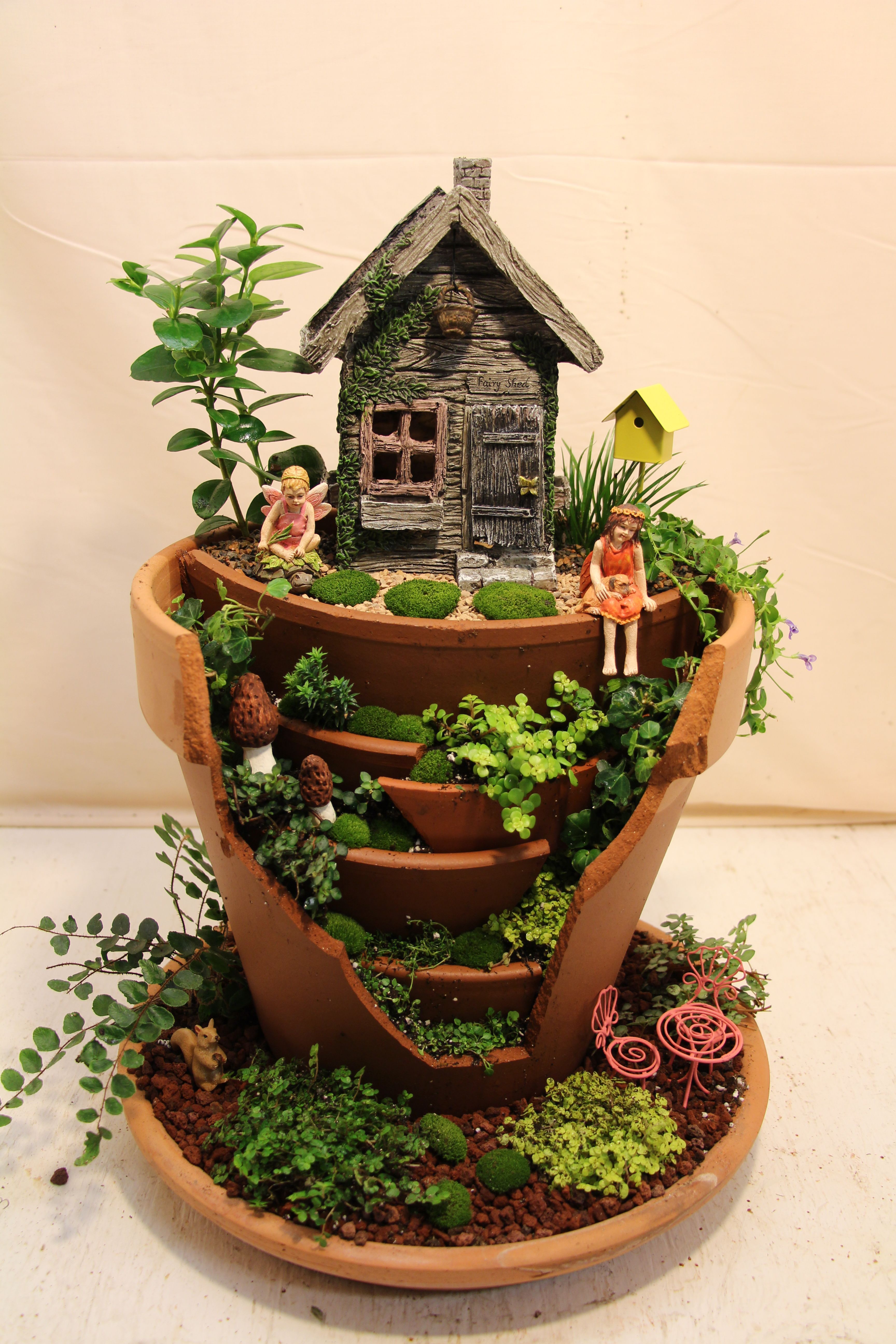 Broken Terracotta Miniature Fairy Garden. Broken pot.