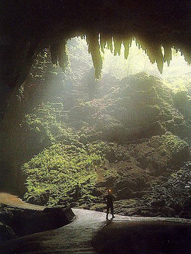 Camuy Caverns is located in Camuy, Puerto Rico. Camuy was founded in 1807 disassociated from Arecibo by Pe