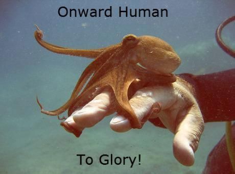 Epic Octopus… creatures make me laugh.