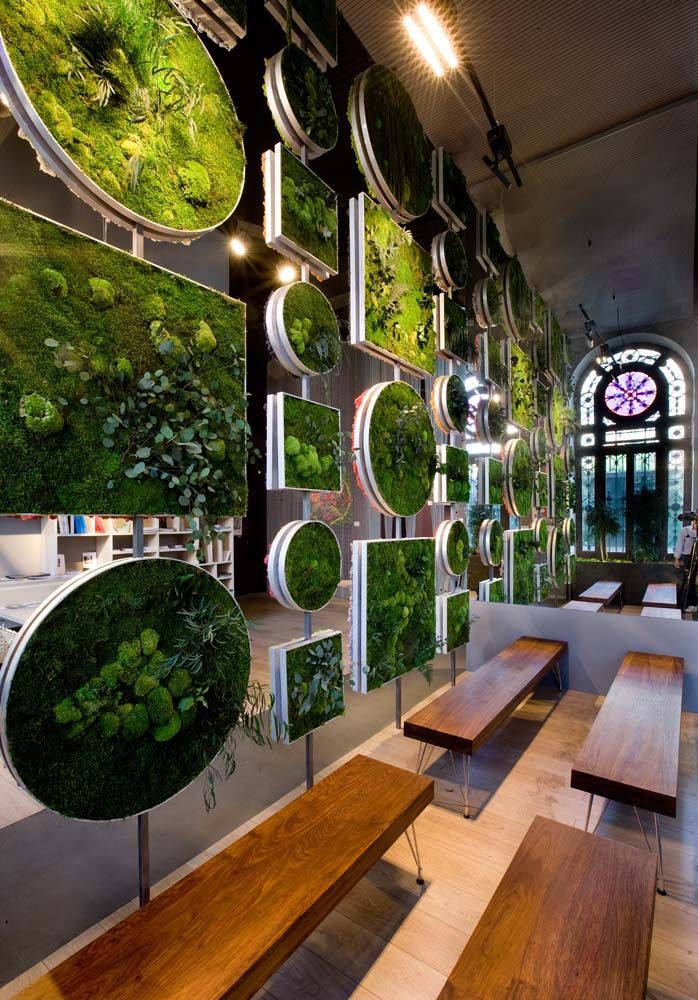 Monamour Natural Design in Casa Decor 2012 / Madrid – The Nature Collection / Vertical garden with preserv