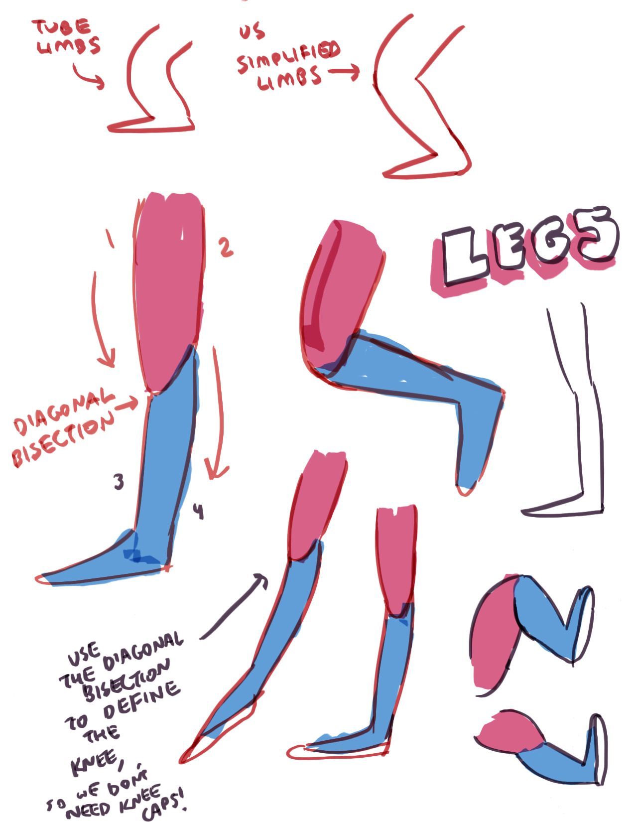 stevencrewniverse: Arm and leg theories by show creator Rebecca Sugar: Early concepts for how to treat lim