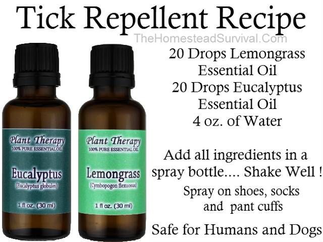 Tick Repellent Recipe.  All natural ingredients to repel ticks.  Safe for humans and dogs