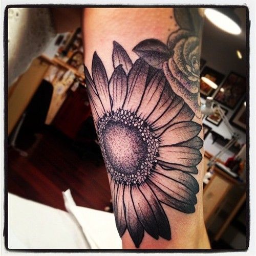 black and gray gerbera daisy tattoo. Not this big or this location but I love daisies