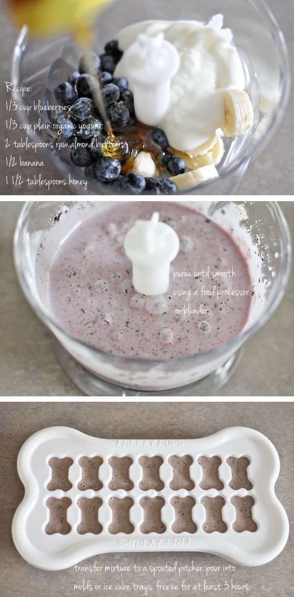 Blueberry-Banana Yogurt Pups (doggie treats): I would omit the honey, but these are a cute and healthy tre