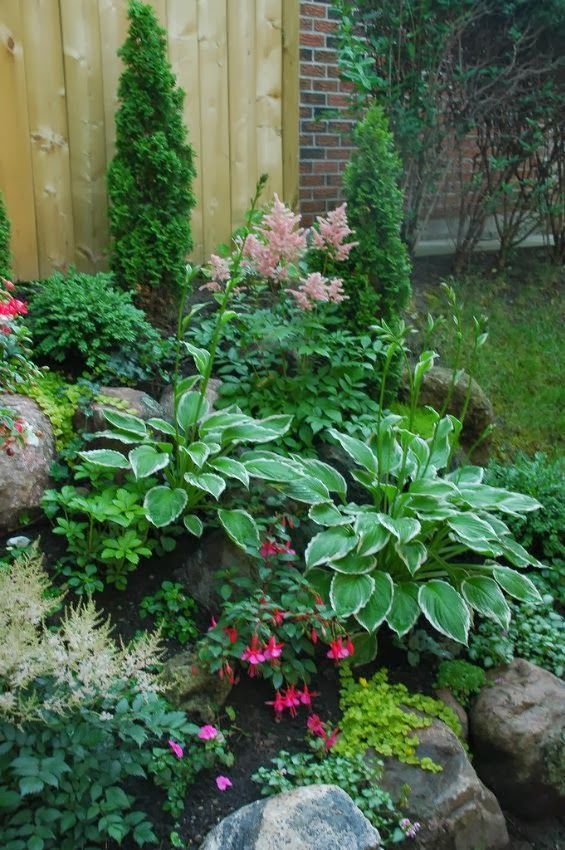 I love the look of this small shade garden, Astilbes, fuchsias, hostas, creeping jenny