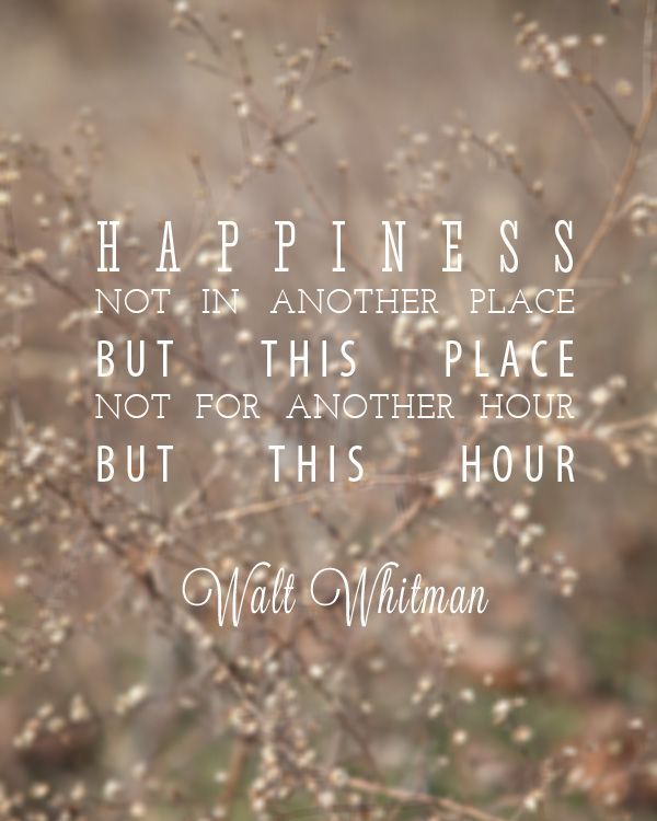 I love this quote by Walt Whitman. It’s refreshing and not over the top.
