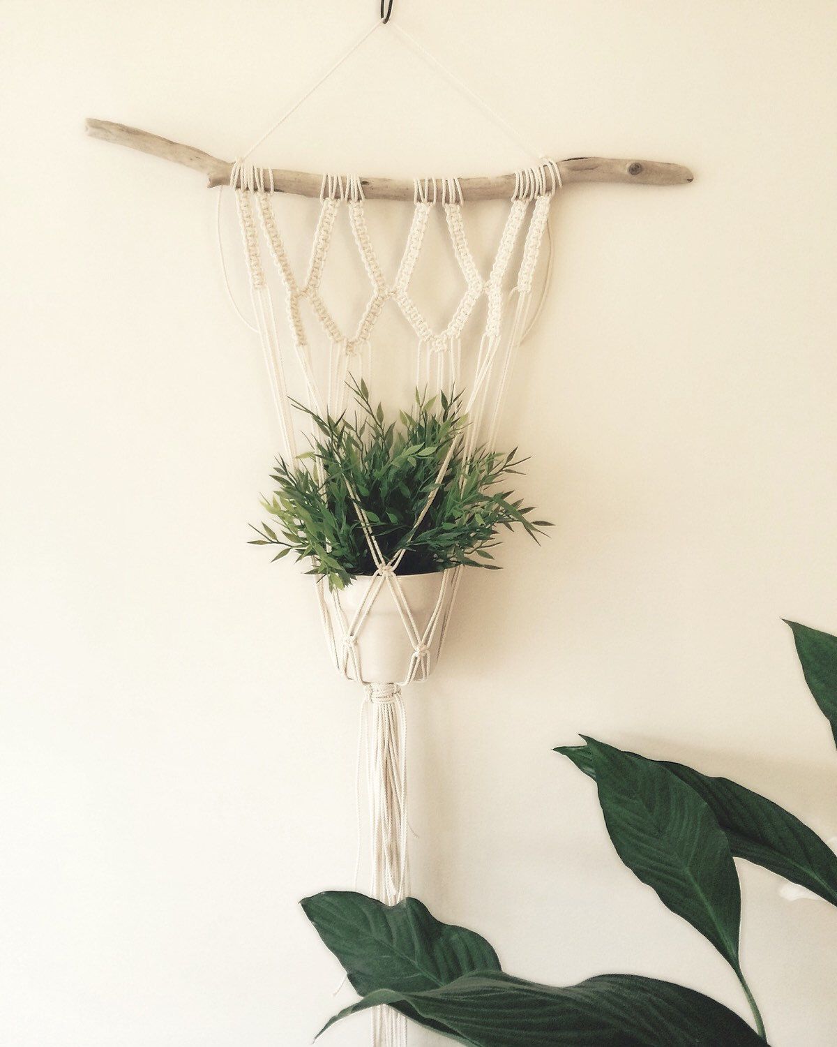 Macrame Plant Hanger, Macrame, Plant Hanger, Modern Macrame, Weaving, Indoor Planter, Wall Hanging by Macr