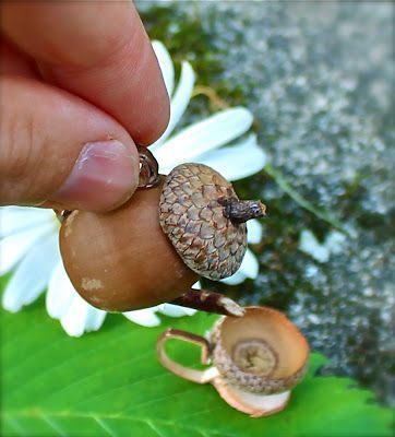 make an entire acorn tea set!  via Twig and Toadstool