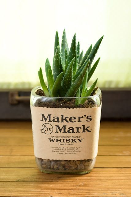 recycled liquor bottle cactus. reuse first makes great handmade soy candles too.