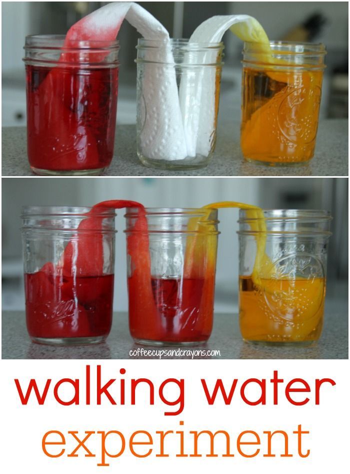 Walking water science experiment. Using primary colours will be a good opportunity to talk about colour mi