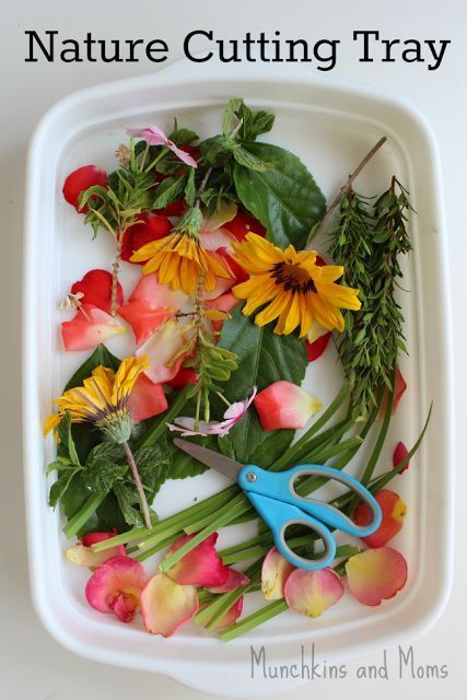 A great way to practice scissor skills with preschoolers using this sensory-rich nature tray!