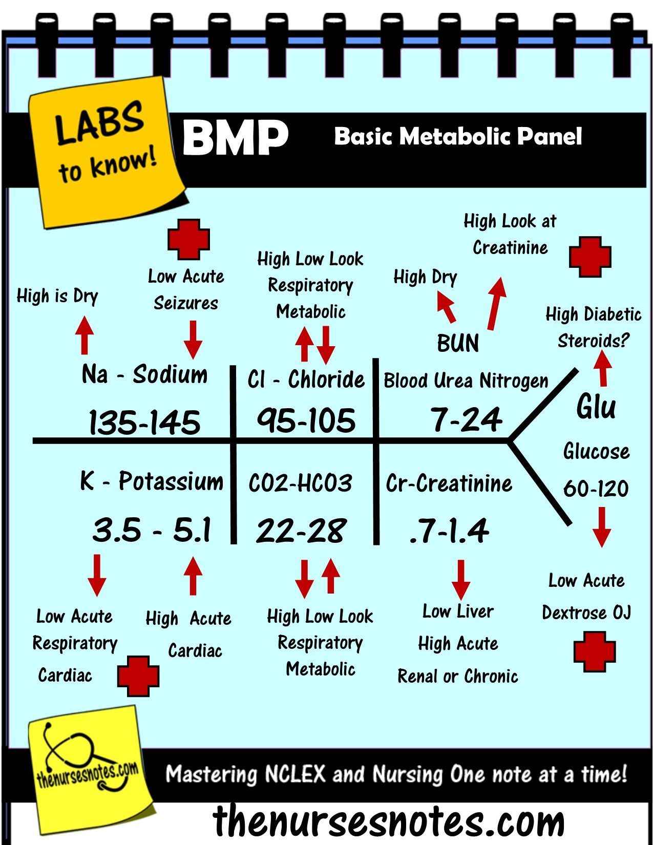 BMP Chem7 Fishbone Diagram explaining labs - From the Blood Book Theses are the Labs you should know H