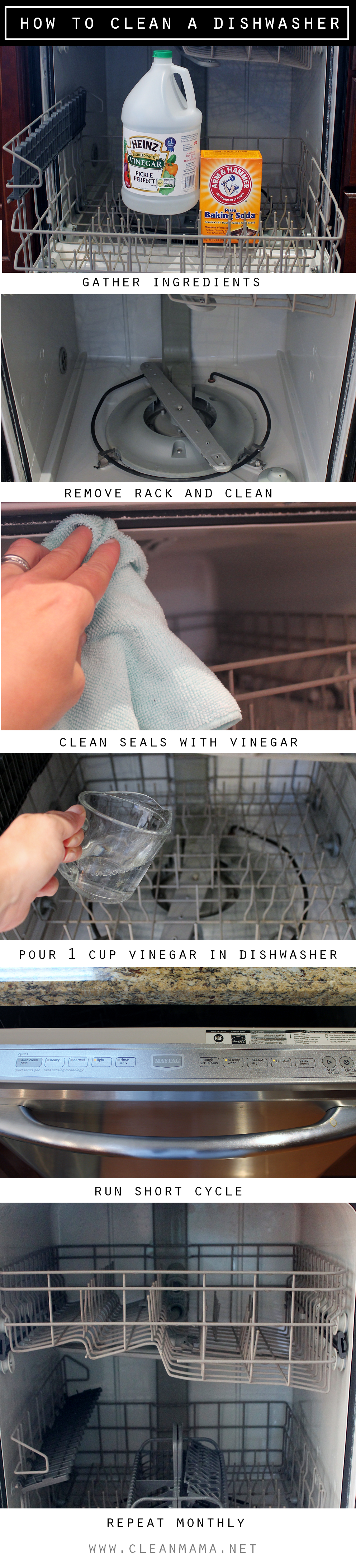 Cleaning your dishwasher is super easy (5 minutes!) and you only need one ingredient | Clean Mama