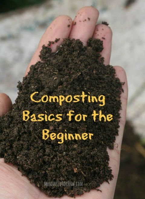 Composting Basics for the Beginner  How To Get Started With Composting