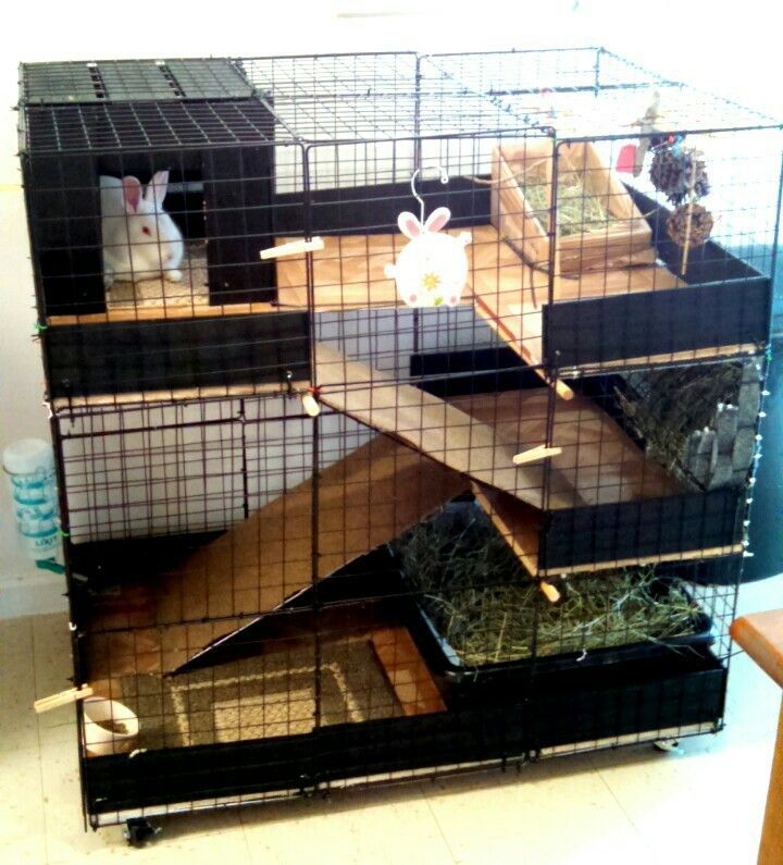 DIY Indoor bunny condo cage. This is the cage I built my rabbit Ruby. Got the idea from the source below.
