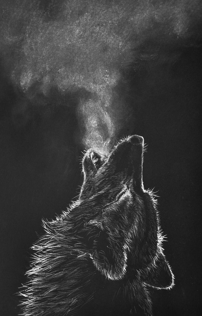 flic.kr/p/BeHLLc | howling wolf | white color pencil drawing on black paper