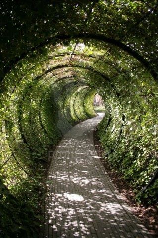 Garden tunnel @ Alnwick Castle. I wonder if a shorter version of this could be made for a regular sized ga
