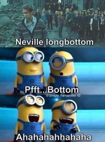Harry Potter Funny, Despicable Me! Two of the best movies! and who does