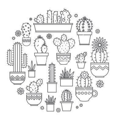 Linear design potted cactus elements. succulent vector  – by Leyasw on VectorStock®