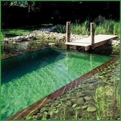 natural swimming pool using shipping container – Google Search