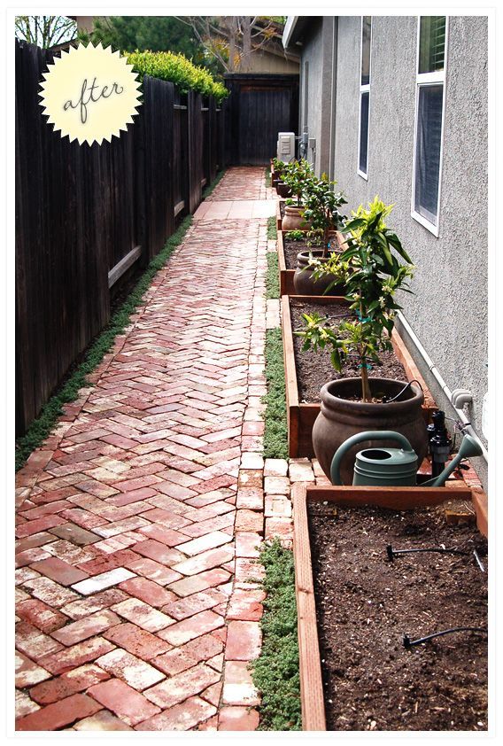 Our new side yard! Herringbone path, container citrus, raised vegetable beds. I’m so happy with how it cam