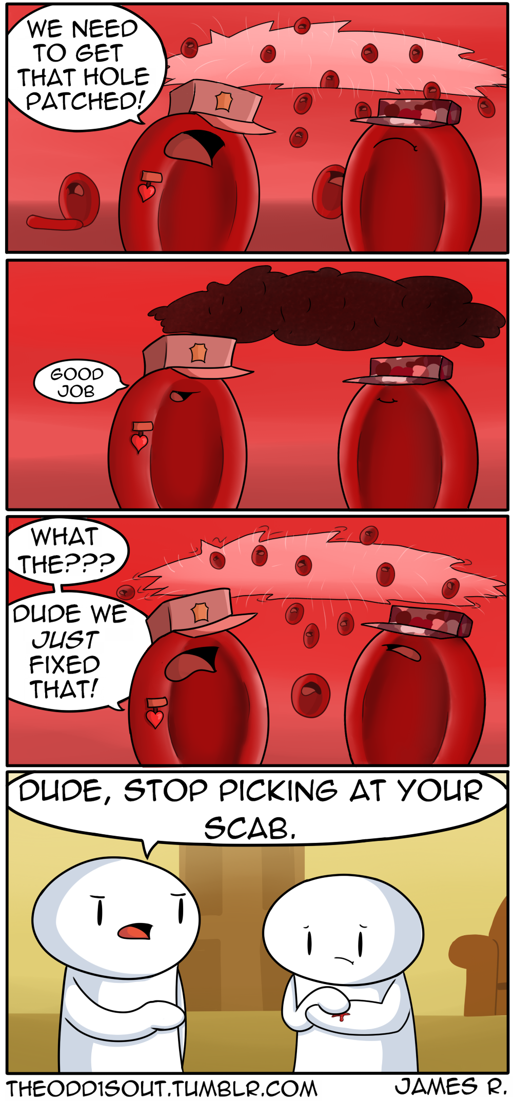 Red Blood Cells at Work