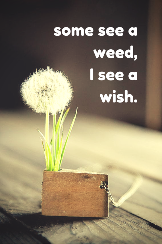 some see a weed,I see a wish.  Click on this image to see the biggest selection of life tips and posit