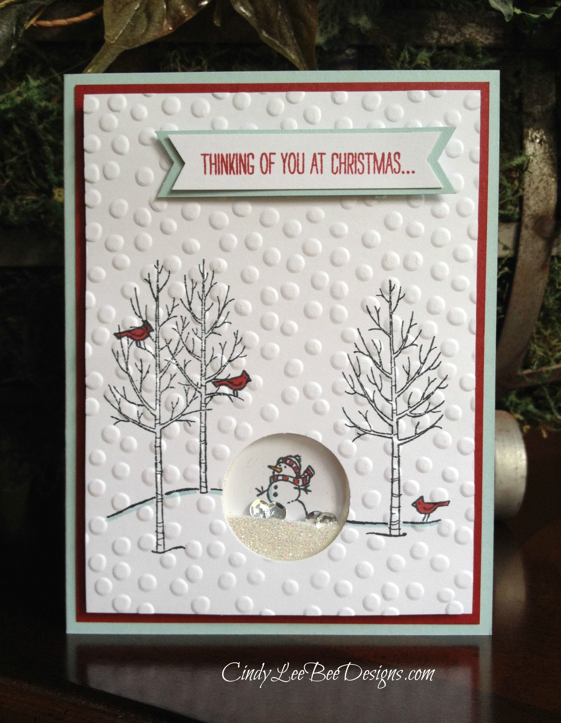 SU White Christmas Shaker Card inspired by Tara Bourgoin