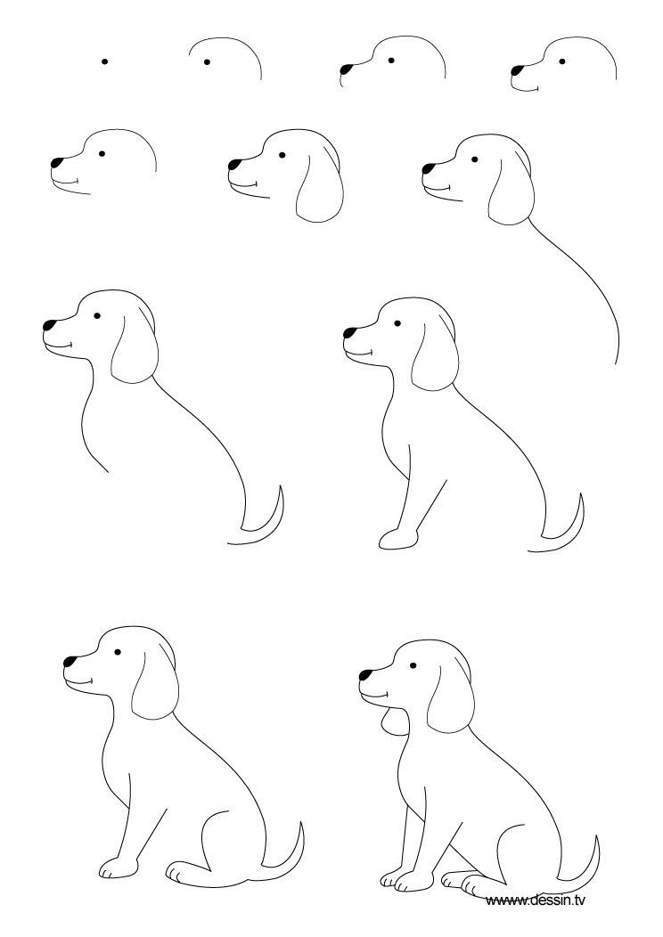 The kids will love this How to Draw a Dog Step by Step Instructions | learn how to draw a puppy with s