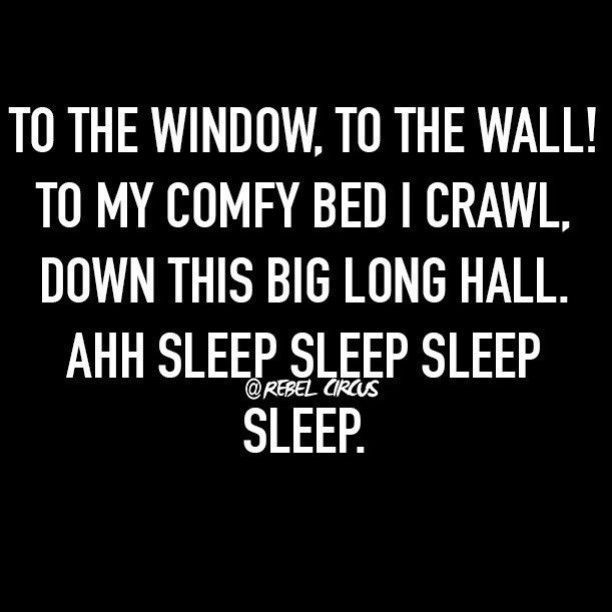 To the window! To the wall! To my comfy bed I crawl, down this big long & sleep, sleep, sleep, sleep!