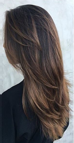 warm cocoa brunette highlights